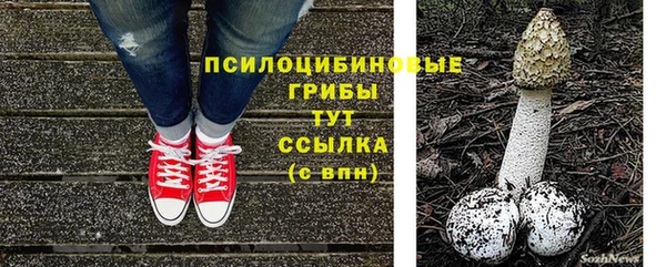 ешки Алексеевка
