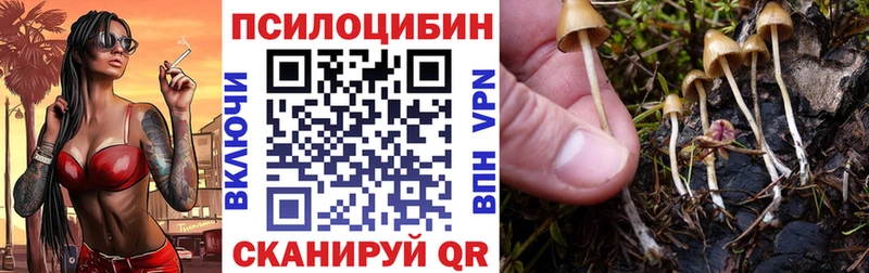 hydra ТОР  где можно купить наркотик  Бобров  Галлюциногенные грибы мицелий 